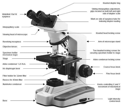 DIAGRAM OF A MICROSCOPE – Midwest Microscope Boneyard