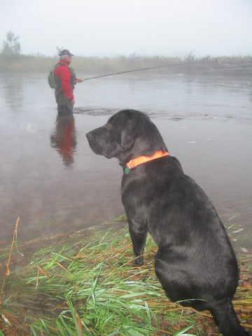 Alex and Buster fishing