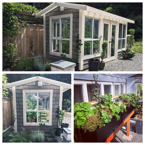 DIY Greenhouse Built From Reclaimed Windows and Doors