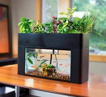 AquaSprouts Garden