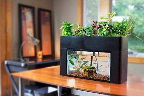  AquaSprouts Garden