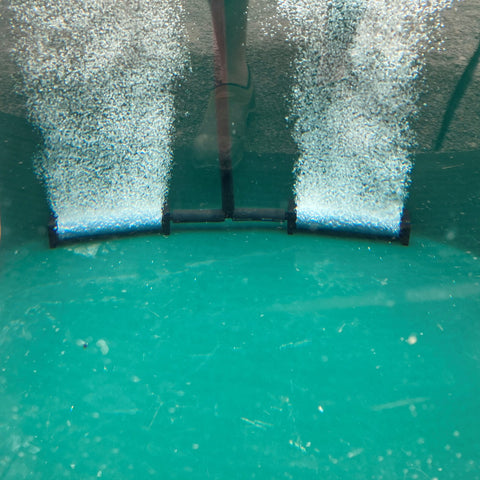 Aeration in Aquaponics Fish Tank