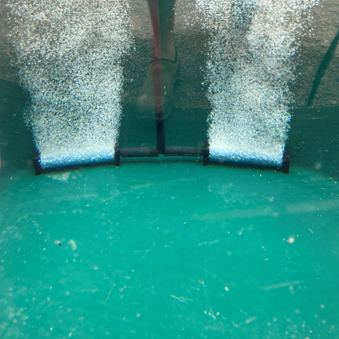 Aeration in Aquaponics