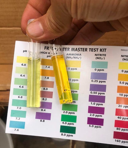 Water Test in Aquaponics