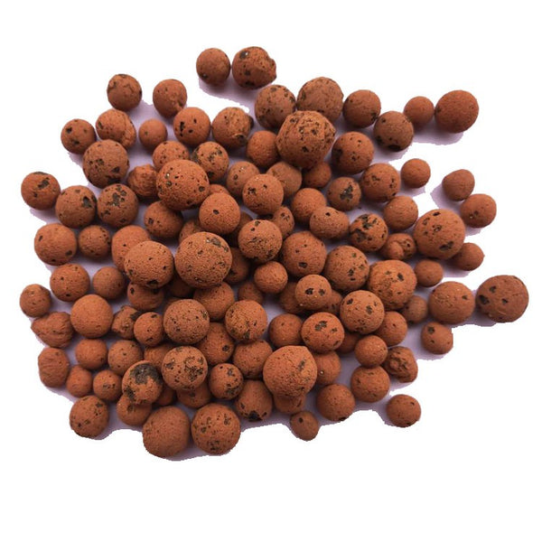 Clay Pebbles A Growing Media in Aquaponics