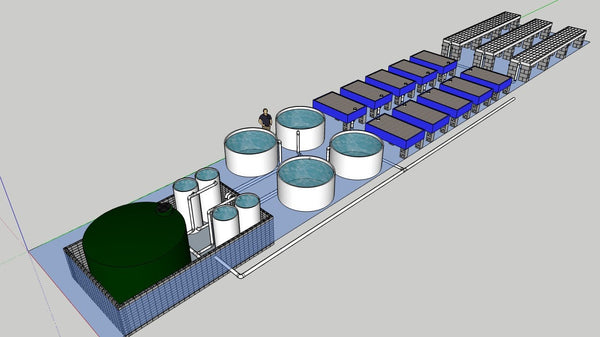 Hybrid Aquaponics System