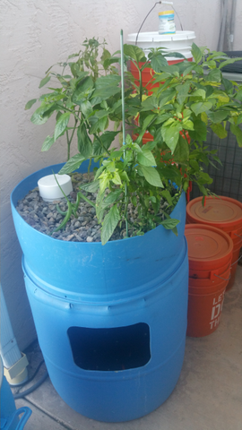 Barrel Grow Bed