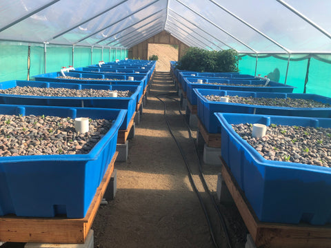 Commercial Aquaponics System