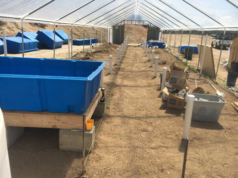 Aquaponics System Construction