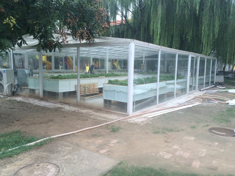 Greenhouse Aquaponics