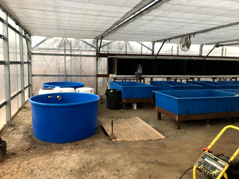 Components of Aquaponics Systems