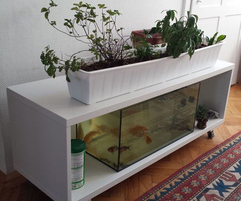 Ikea Shelf Aquaponics System