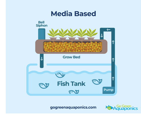 Media Based Aquaponics System Infographic