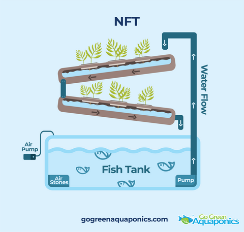 NFT Aquaponics System Infographic