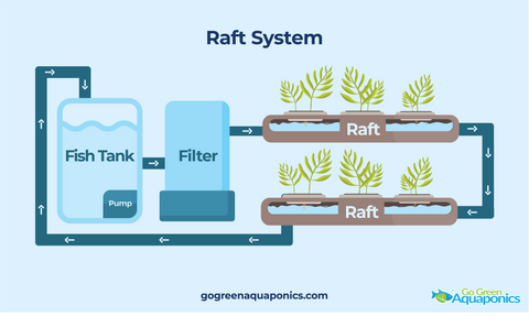 Raft Aquaponics System Infographic