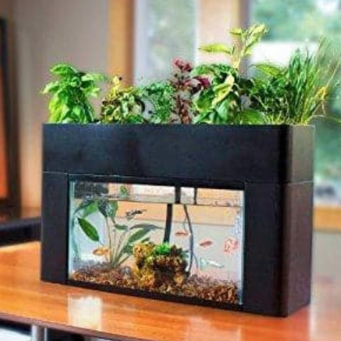 AquaSprouts Garden