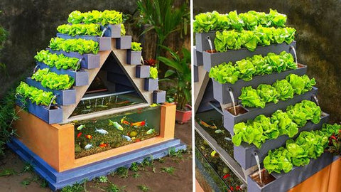 DIY Ceramic Tiles Aquaponics System