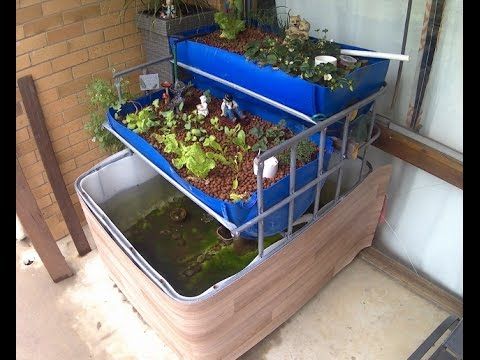 Barrel Aquaponics System