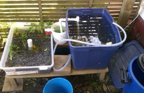 DIY Repurpose Aquaponics System