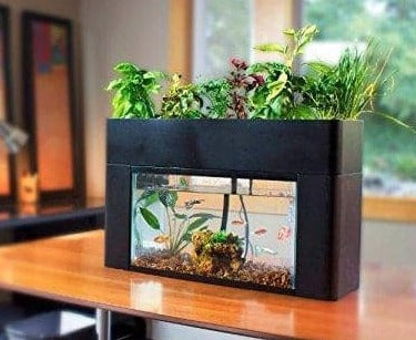  Aquasprout Garden Desktop Aquaponic System
