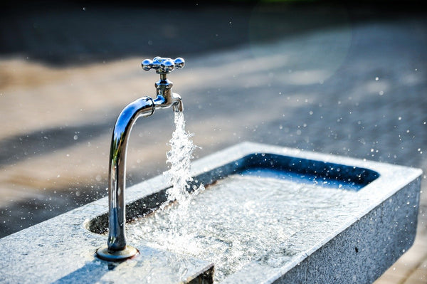 Water in Aquaponics System