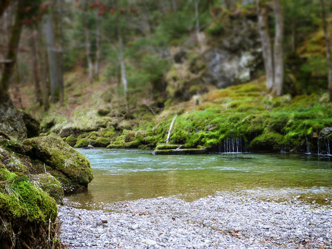 River Water  Source for Aquaponics