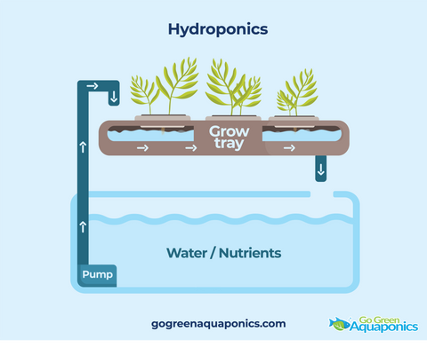 Hydroponics Infographics