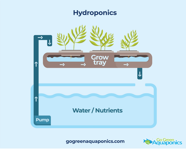 Hydroponics System