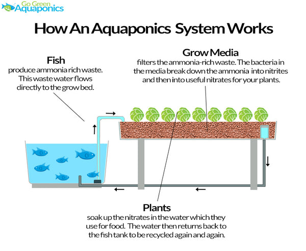 Aquaponics System Mechanical Filter - Hydroponics And Aquaponics Tips ...