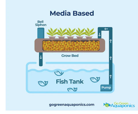 Media based Aquaponics System Infographic