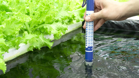 كيفية اختبار جودة المياه في نظام Aquaponics - Go Green Aquaponics