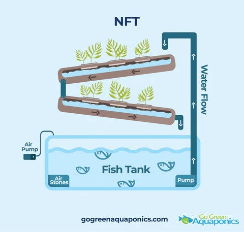 NFT System of Aquaponics Infographic