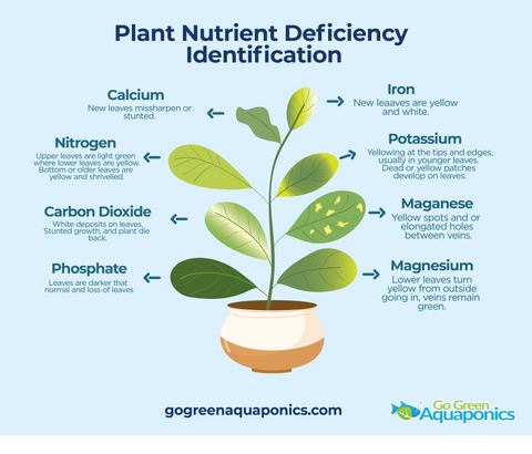 Plants Nutrient Deficiency Chart