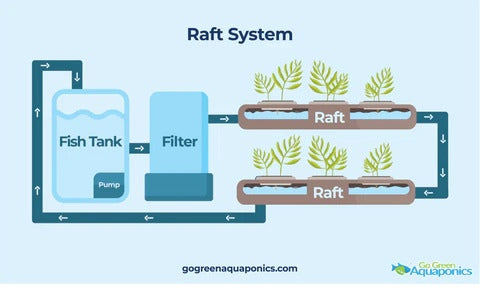 Raft System Aquaponics Infographic