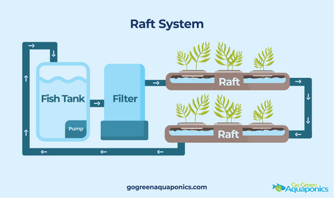 Raft Aquaponics System