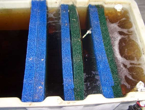 Raft Water Filter in Aquaponics