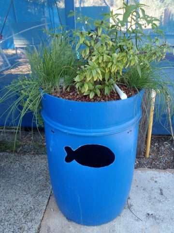 DIY One Barrel Aquaponics System