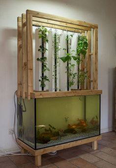 Vertical Aquaponics System