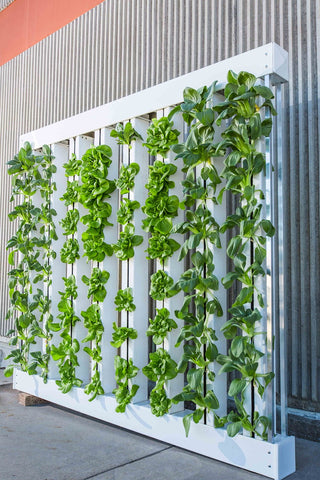 Vertical Aquaponics System