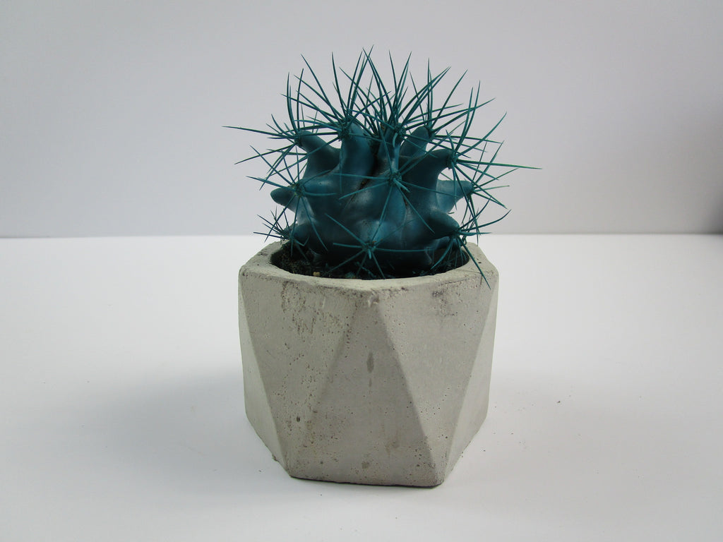 Unusual Living Room Ornament Geometric Concrete Planter 