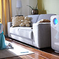 Buy Air Purifiers & Replacement Filters Online at Best Price In india ...