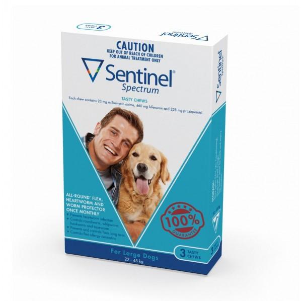 buy best price sentinel spectrum for dogs australia