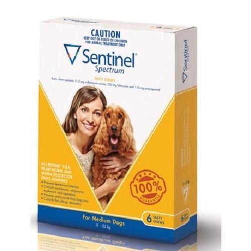 sentinel spectrum chews medium yellow