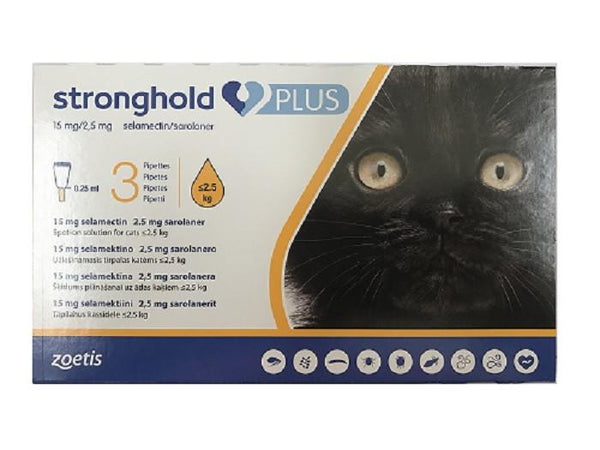 stronghold for cats