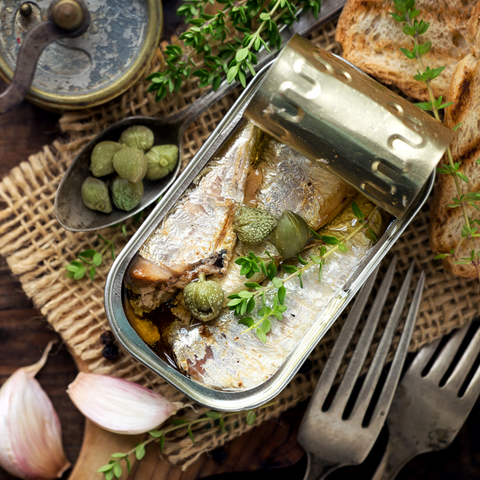 https://cdn.shopify.com/s/files/1/2311/6473/files/sardines_plat_2_480x480.png?v=1644245648