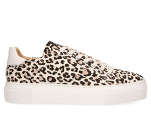 maruti leopard print shoes