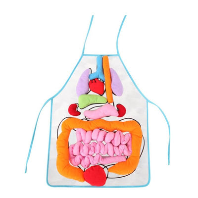 kids anatomy apron