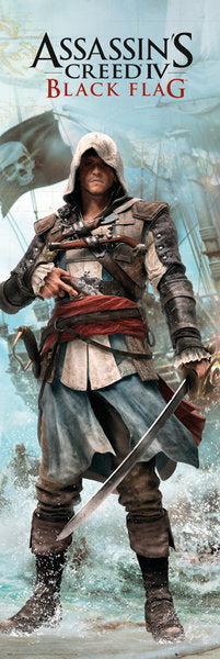 assassins creed black flag poster