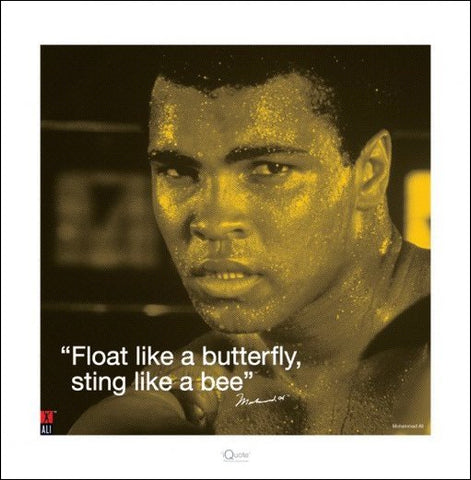 Muhammad Ali Sting Like A Bee Quote 40x40cm Art Print Koolpixnz