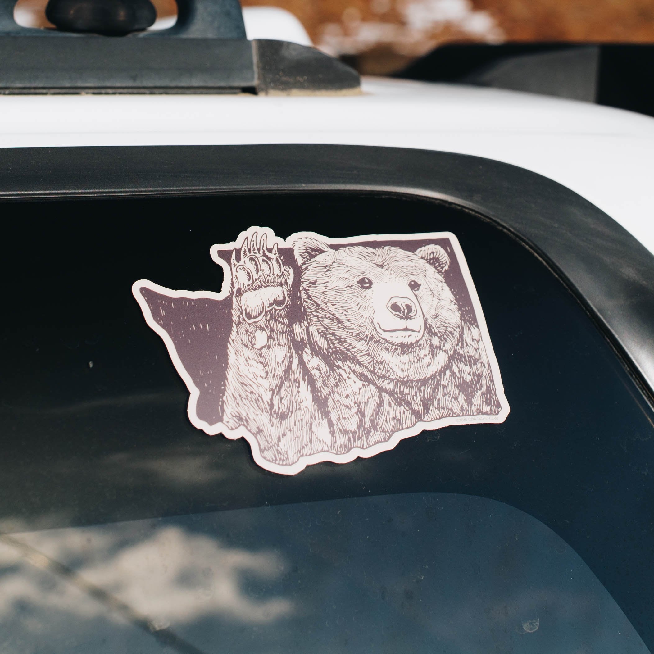 Bear Wave Sticker